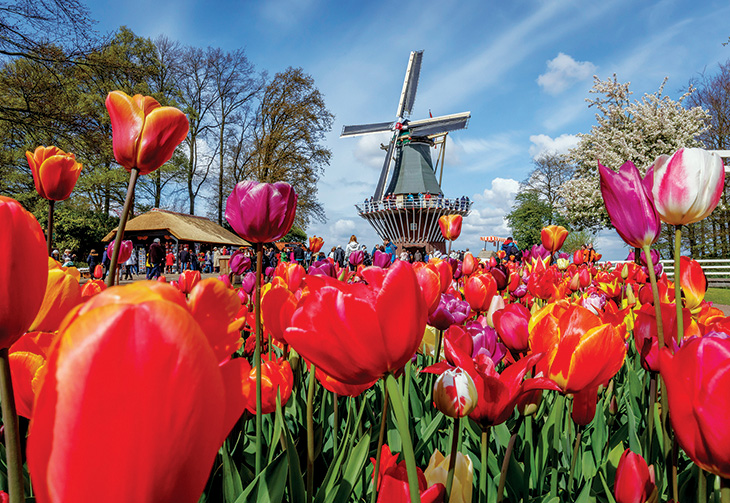 KEUKENHOF – CORSO FLEURI