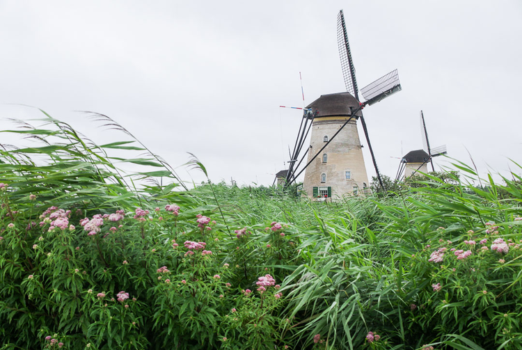 WEEK END À AMSTERDAM ET DÉCOUVERTE DES MOULINS EN VÉLO – PRIX MALIN