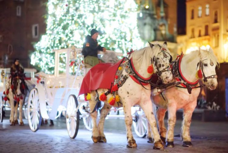 NOËL EN POLOGNE