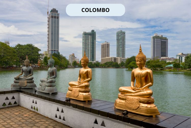 À LA RENCONTRE DU SRI LANKA