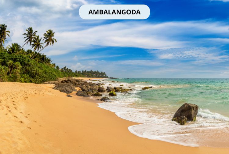 À LA RENCONTRE DU SRI LANKA