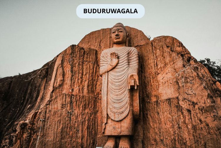 À LA RENCONTRE DU SRI LANKA