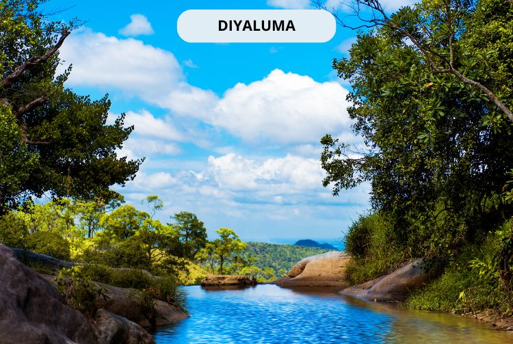 À LA RENCONTRE DU SRI LANKA