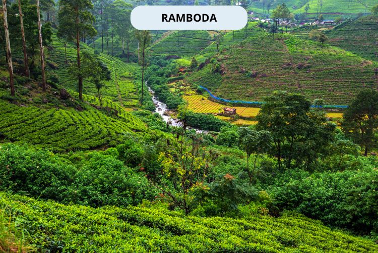 À LA RENCONTRE DU SRI LANKA