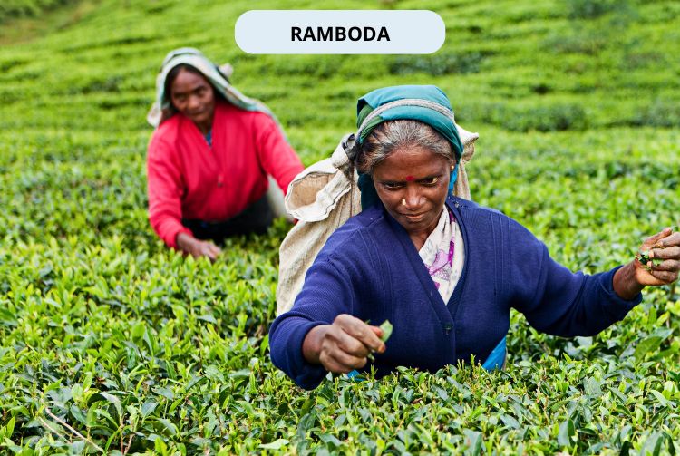 À LA RENCONTRE DU SRI LANKA