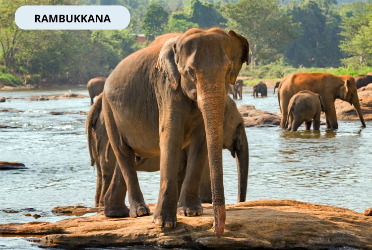 À LA RENCONTRE DU SRI LANKA
