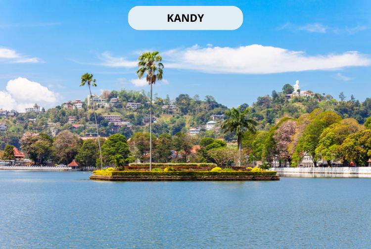 À LA RENCONTRE DU SRI LANKA