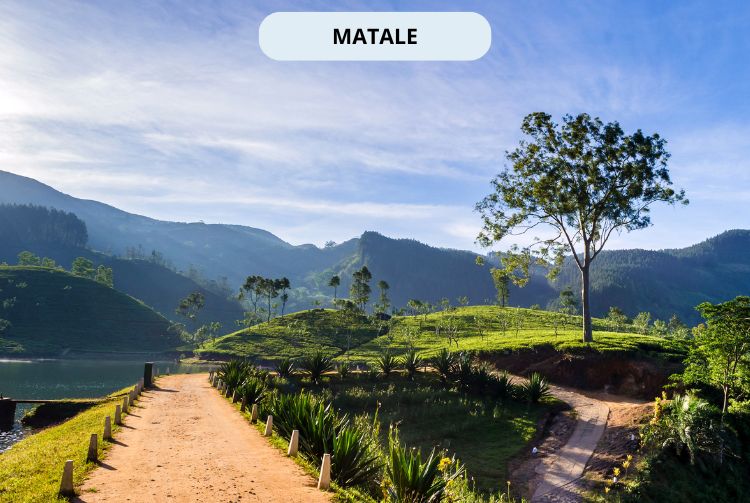 À LA RENCONTRE DU SRI LANKA