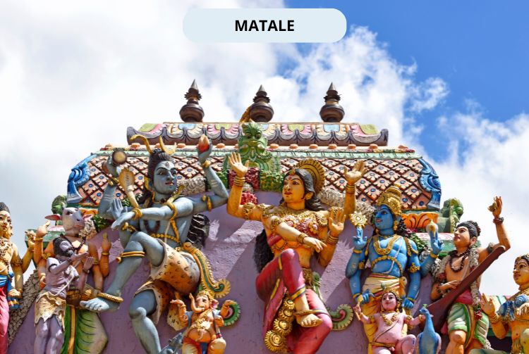 À LA RENCONTRE DU SRI LANKA