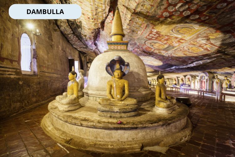 À LA RENCONTRE DU SRI LANKA