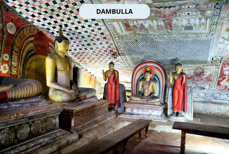 À LA RENCONTRE DU SRI LANKA