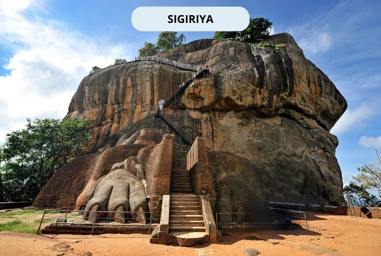 À LA RENCONTRE DU SRI LANKA