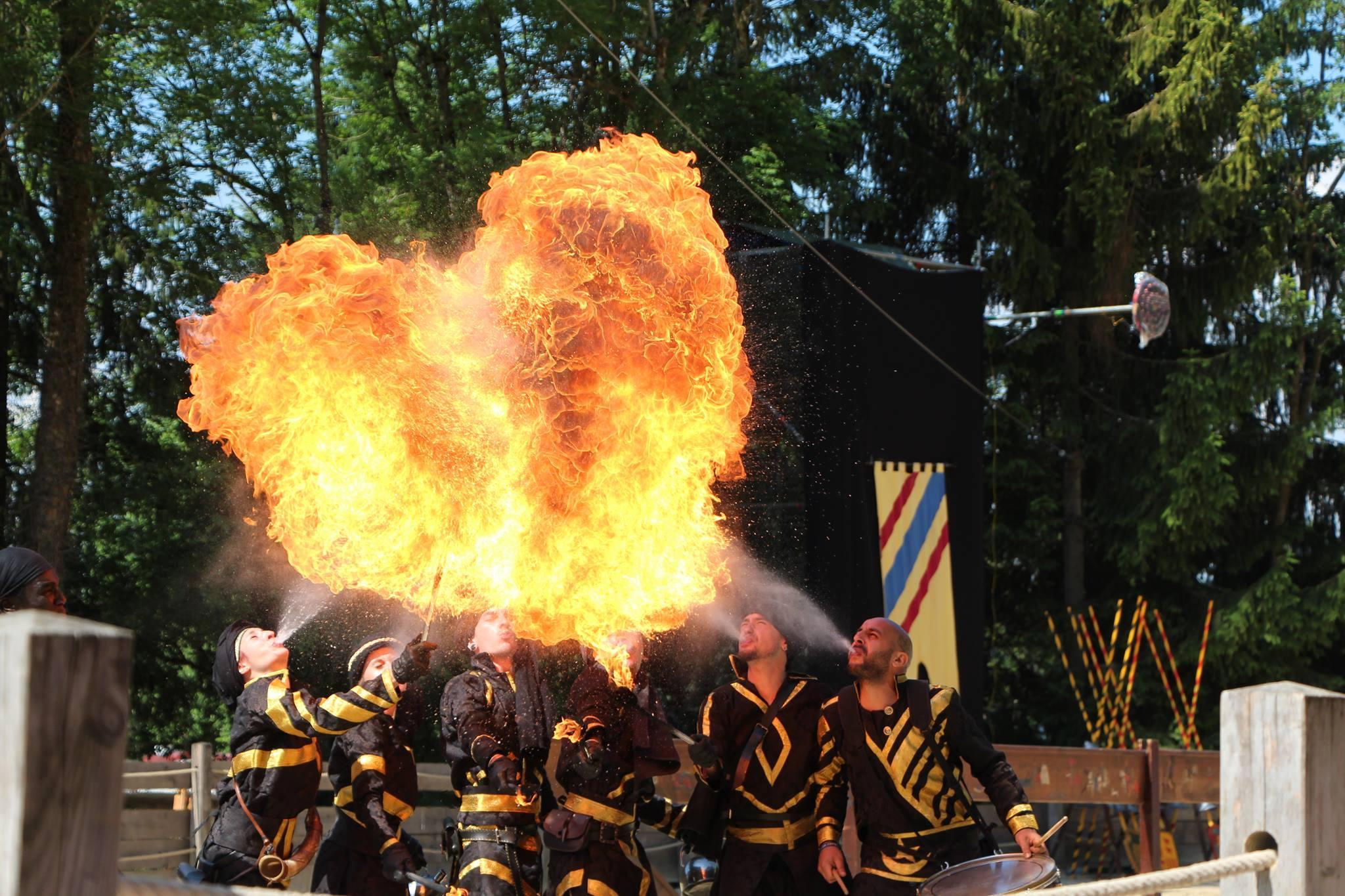 LES MEDIEVALES DE PROVINS