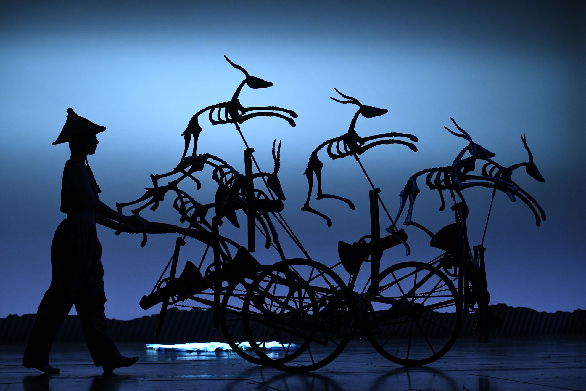 LE ROI LION : De Broadway au Théâtre Mogador