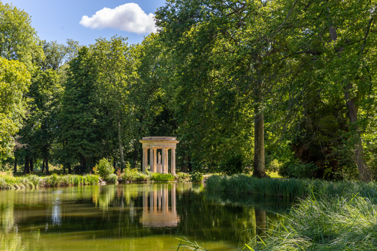 Chantilly, Fêtes des plantes au château de Chantilly