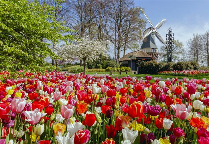 KEUKENHOF - CORSO FLEURI  - ANNULE CAUSE COVID19