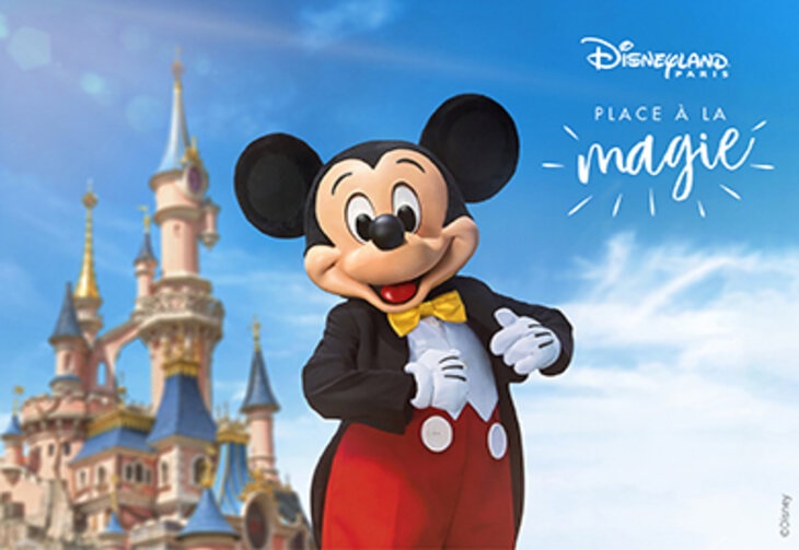 DISNEYLAND PARIS - DISPO 2 adudltes