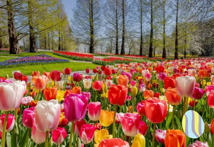FLORALIA DE BRUXELLES AU CHÂTEAU DE GRAND-BIGARD DEPART GARANTI