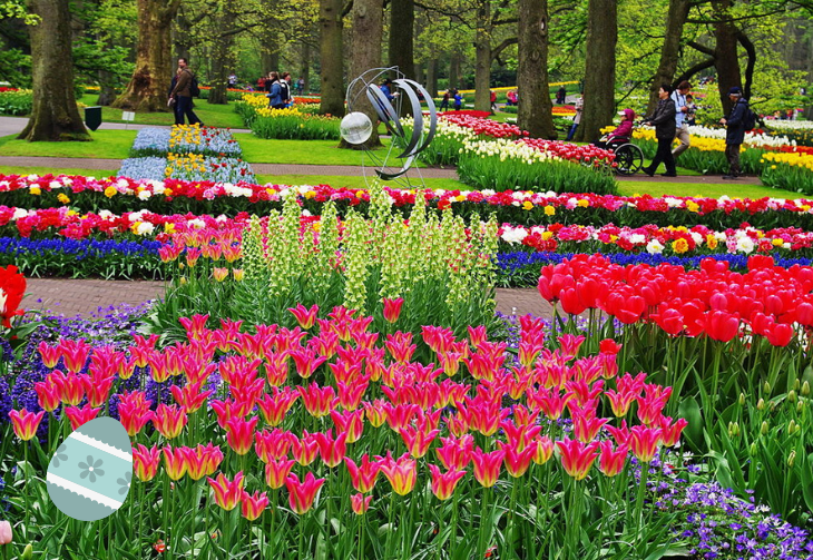 KEUKENHOF LE PLUS BEAU PARC PRINTANIER DU MONDE DEPART GARANTI