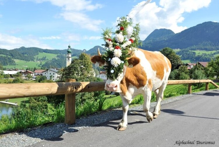 TYROL LA DESCENTE DES ALPAGES