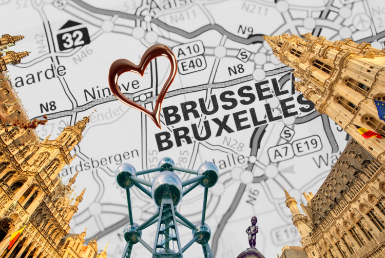 UNE JOURNÉE CHEZ LES BRUXELLOIS