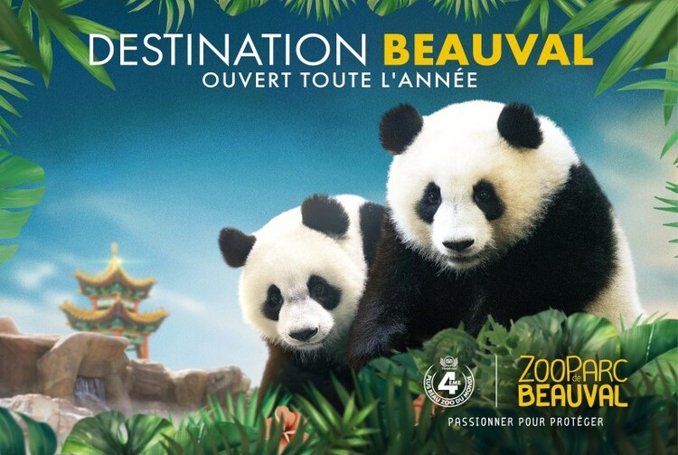 WEEK-END AU ZOOPARC DE BEAUVAL   