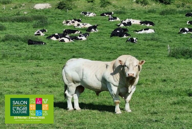PARIS - SALON DE L'AGRICULTURE