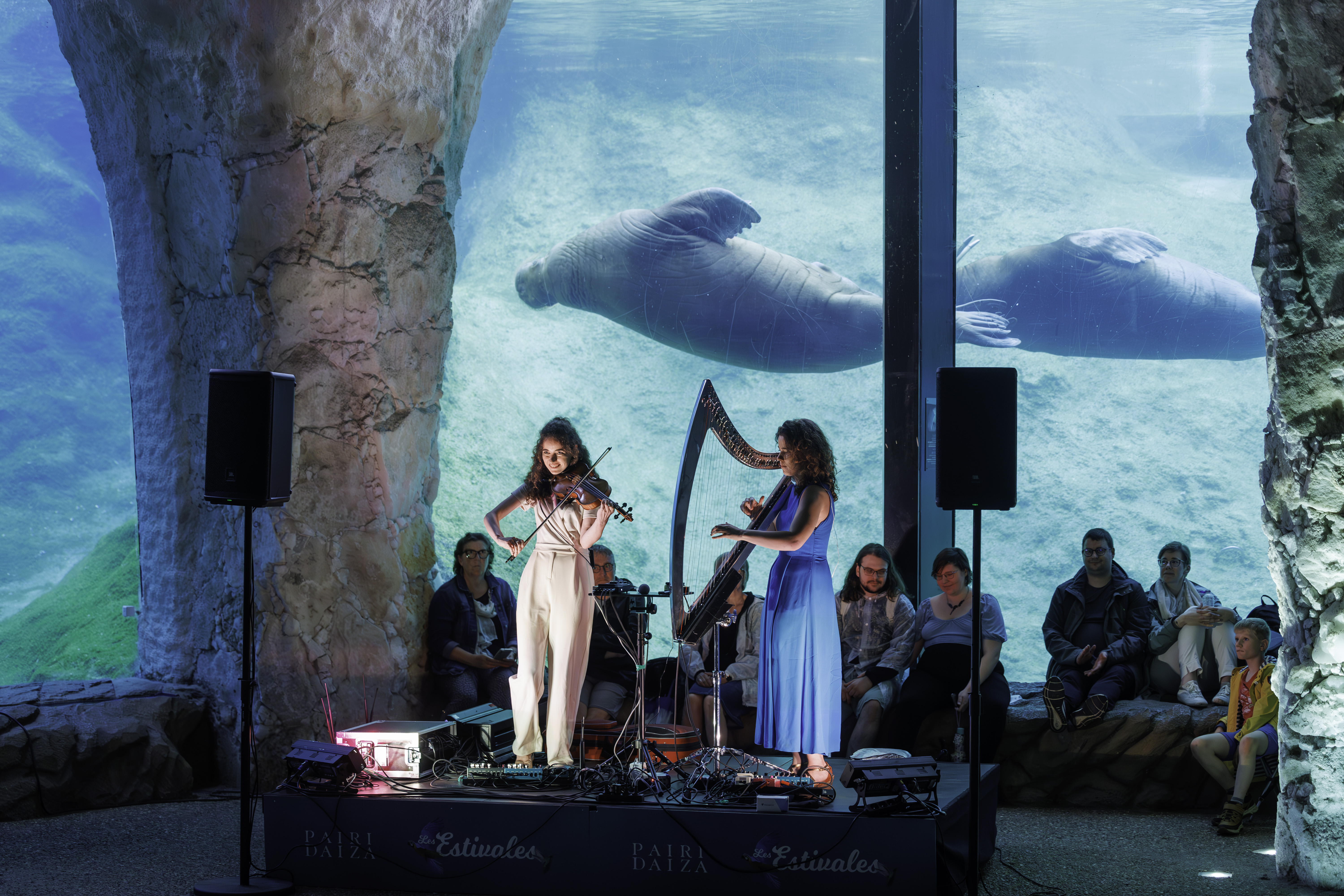 PAIRI DAIZA, LES ESTIVALES