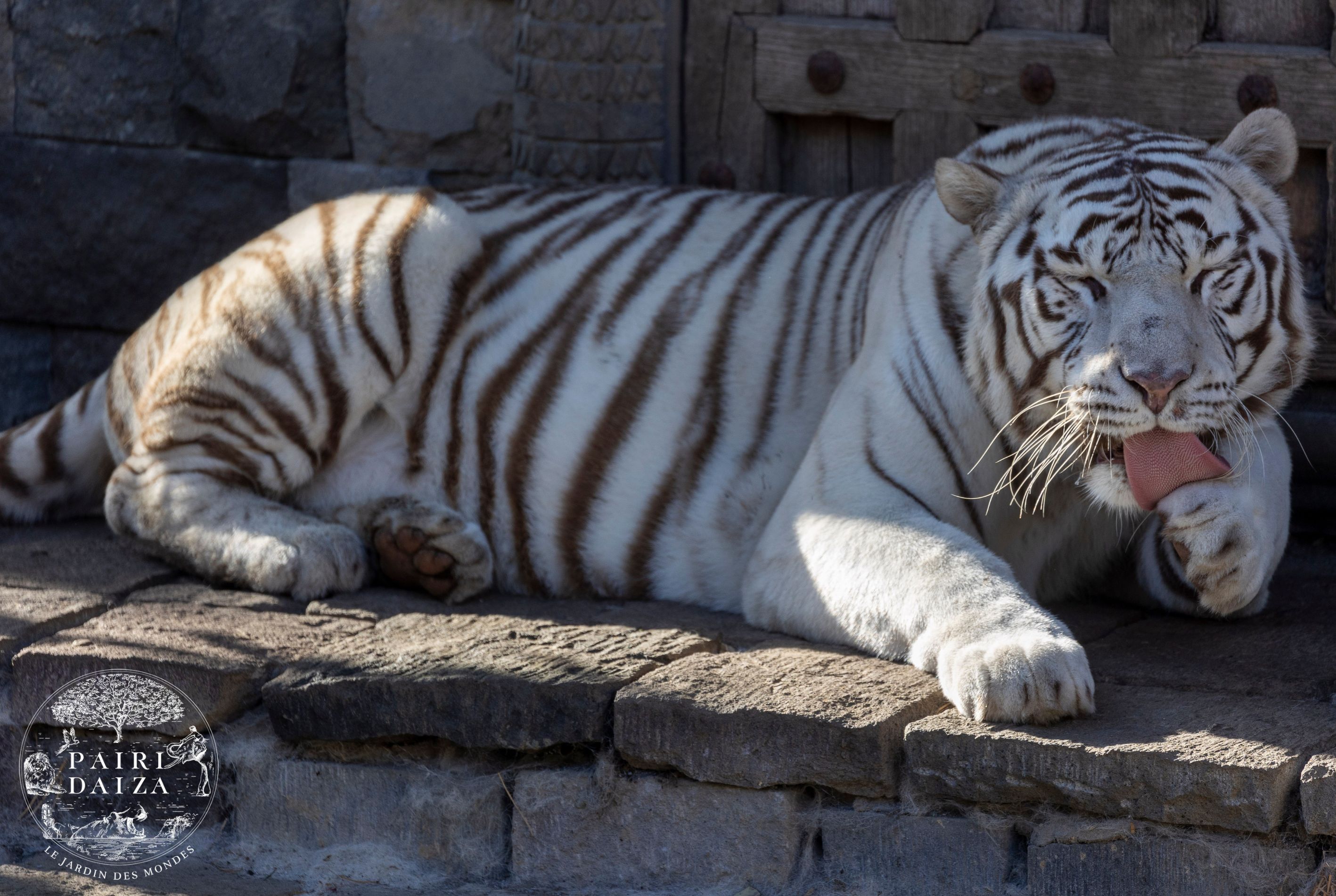 PAIRI DAIZA AUX COULEURS DU PRINTEMPS