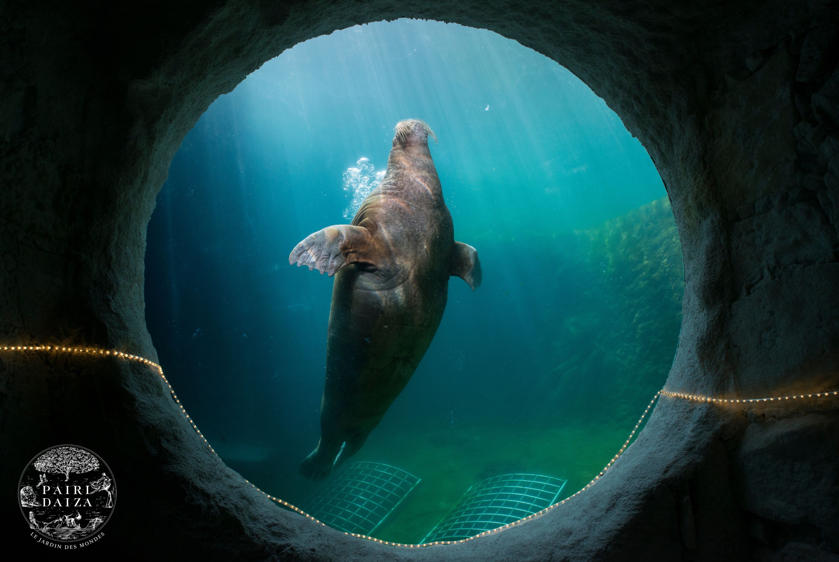 PAIRI DAIZA AUX COULEURS DU PRINTEMPS