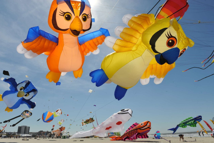  BERCK SUR MER - RENCONTRES INTERNATIONALES DE CERFS-VOLANTS 