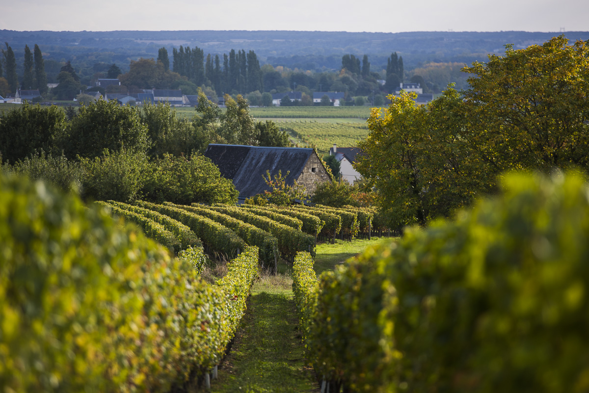 SÉJOUR EN VAL DE LOIRE