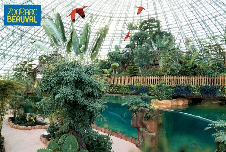 WEEK-END AU ZOOPARC DE BEAUVAL   