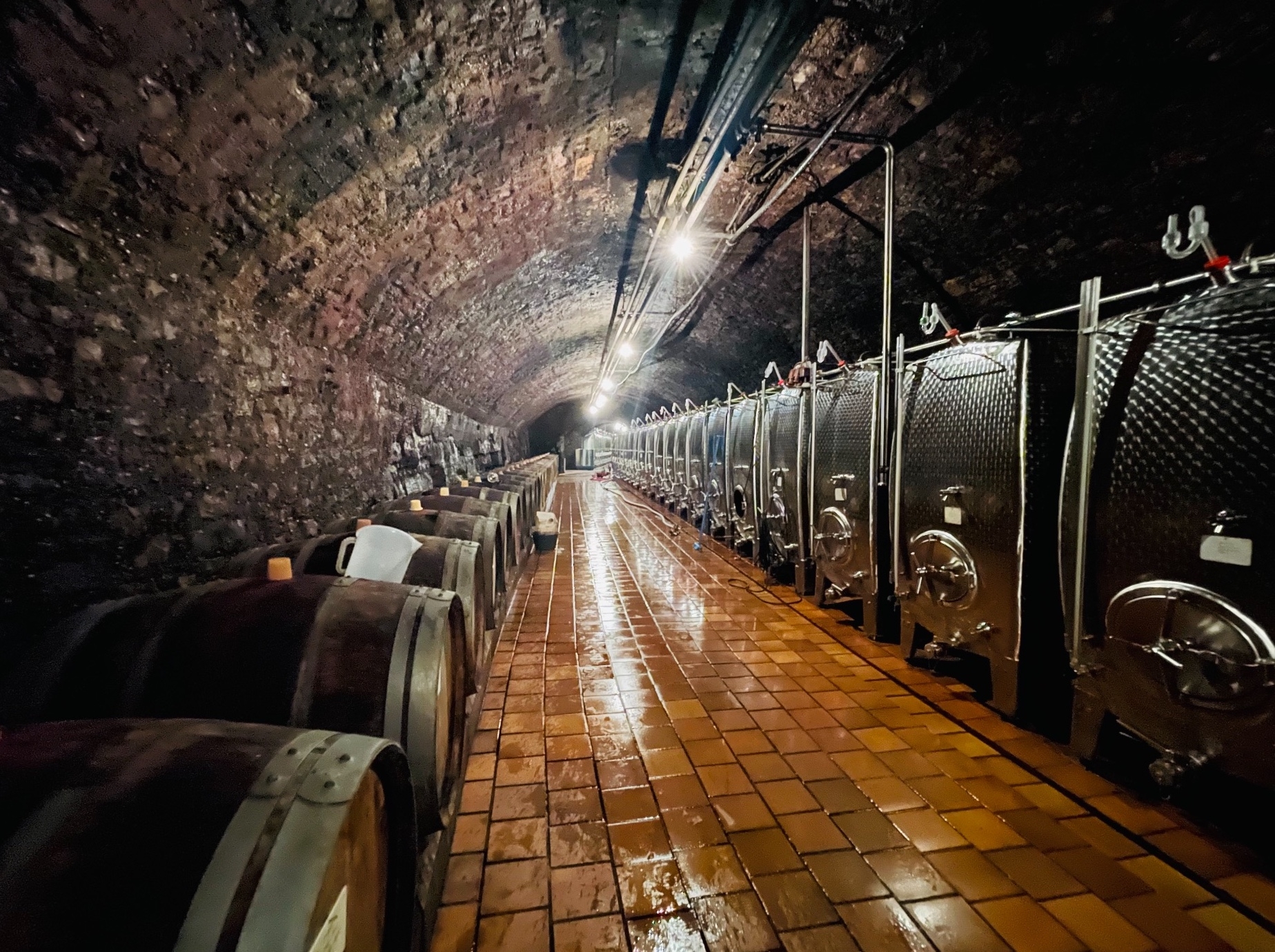 DEJEUNER CROISIERE ET VIGNOBLES EN MOSELLE LUXEMBOURGEOISE