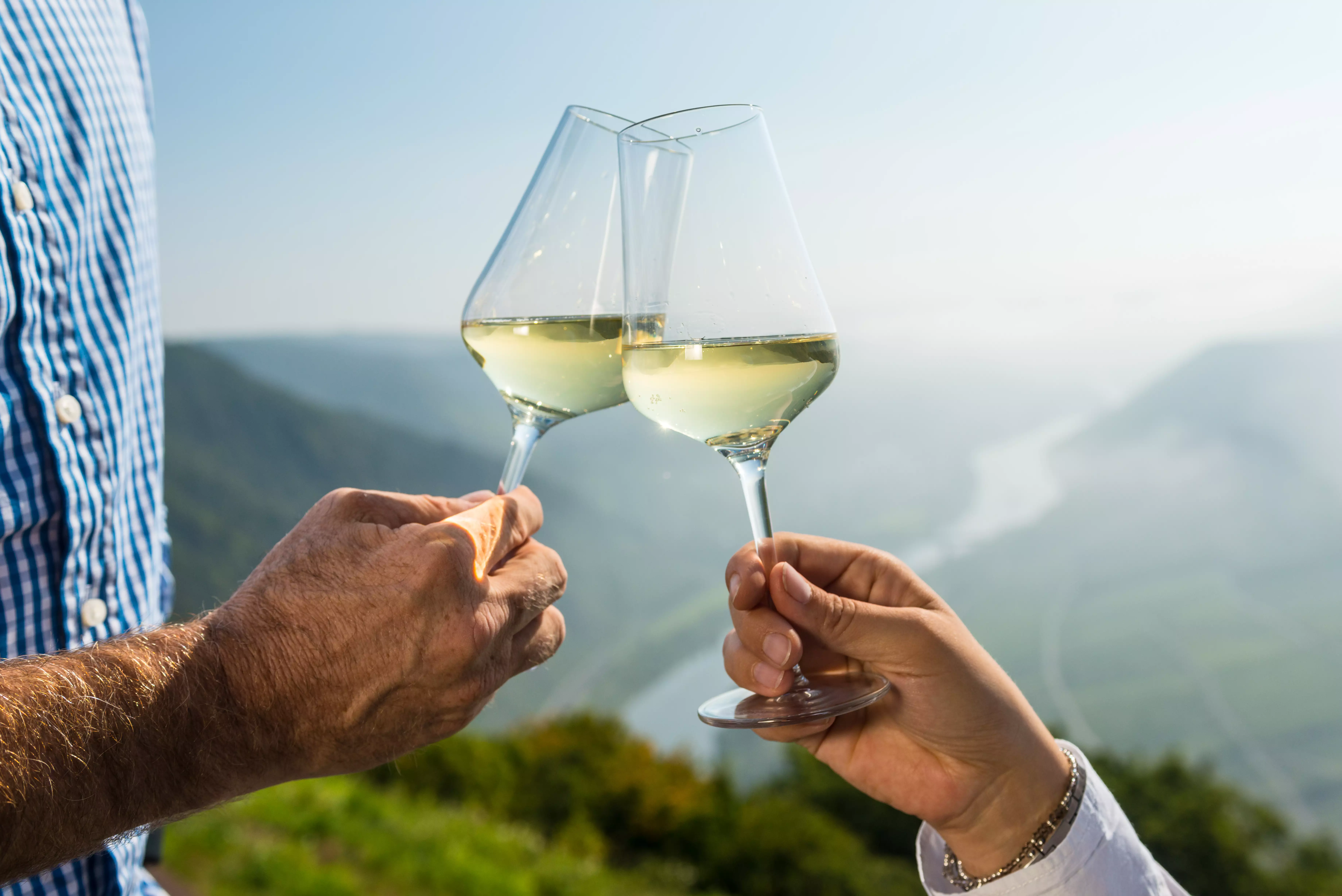 DEJEUNER CROISIERE ET VIGNOBLES EN MOSELLE LUXEMBOURGEOISE