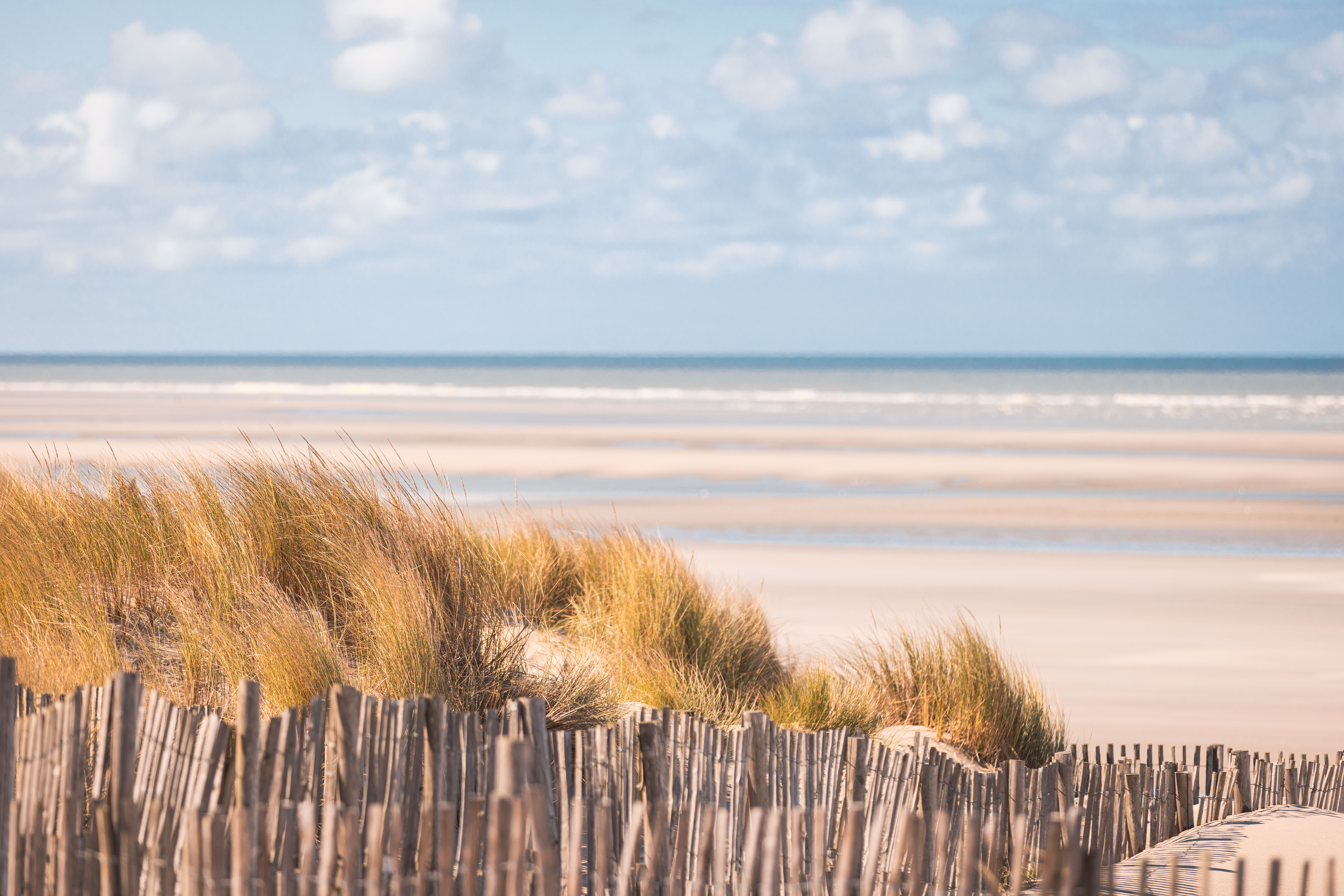 LE TOUQUET ET SON MARCHE