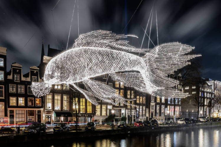 AMSTERDAM FESTIVAL DES LUMIERES