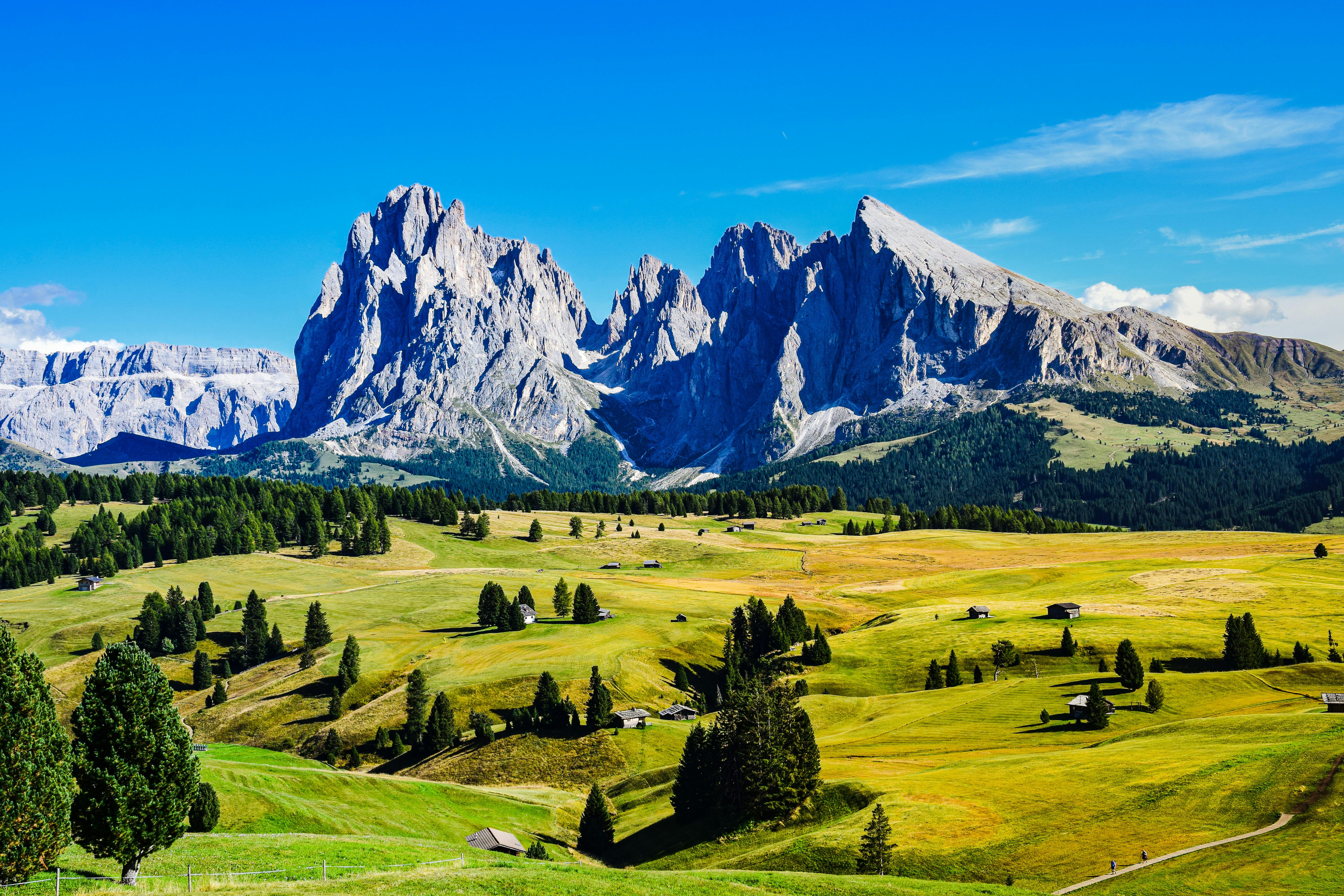 TYROL & TRANSHUMANCE EN AUTRICHE