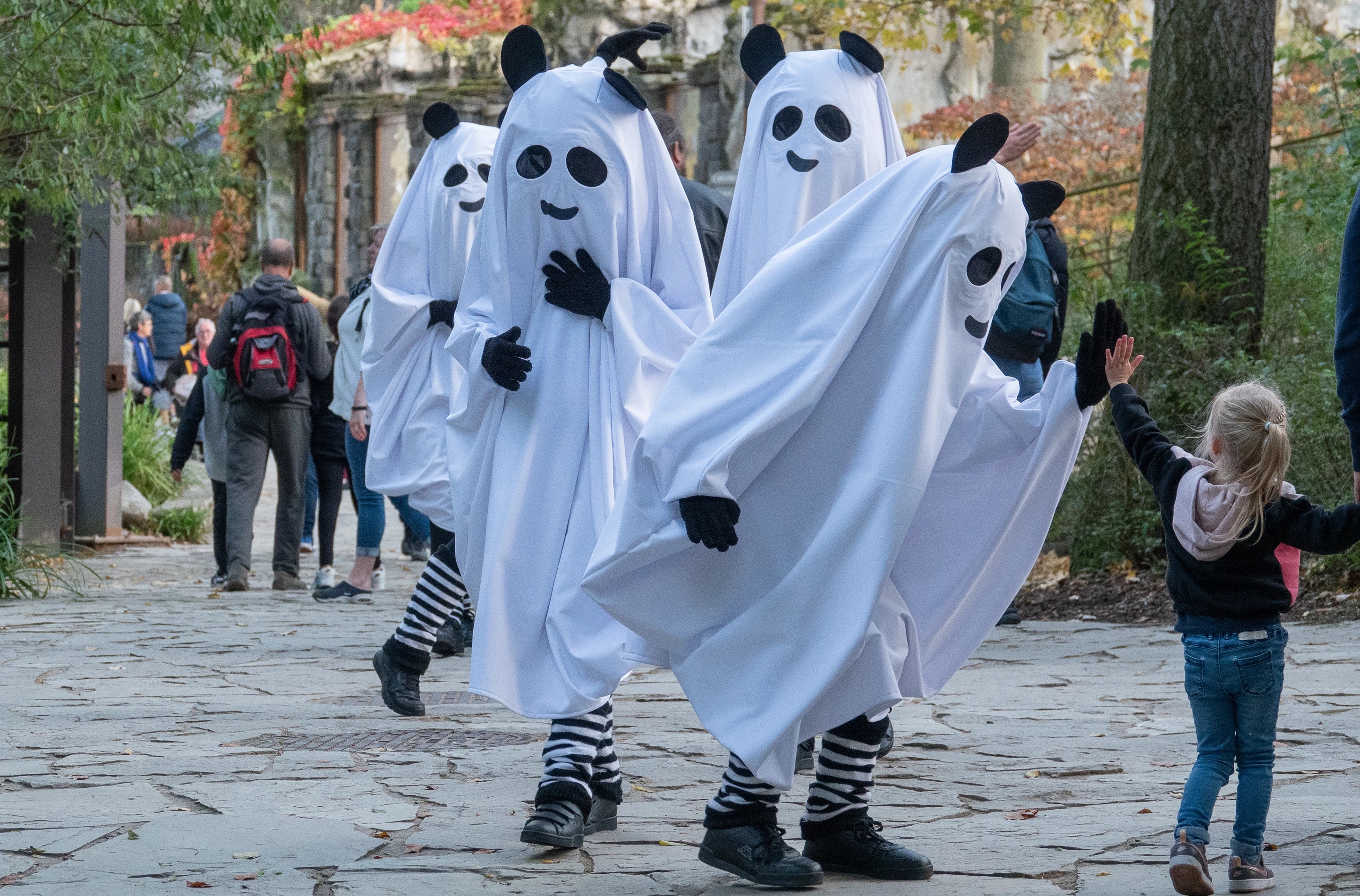 PAIRI DAIZA CELEBRE HALLOWEEN 